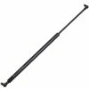 Hot Sale 🛒 Goliath 700mm 650N Black Gas Strut Other - To Australia ❤️ -Goliath Tools Sales f104b1e6d370452ba3491efbbd1e7d2d